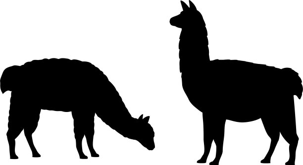 羊驼剪影两头羊驼羊驼图片下载