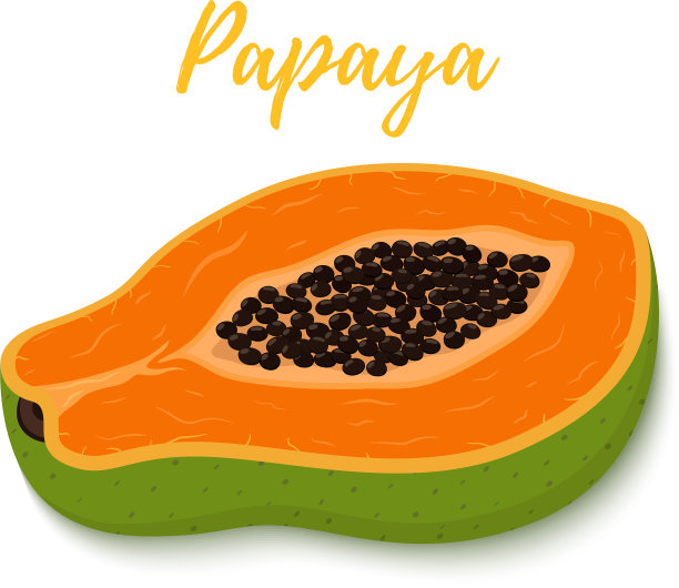 热带水果:一半木瓜和一半橙子图片下载