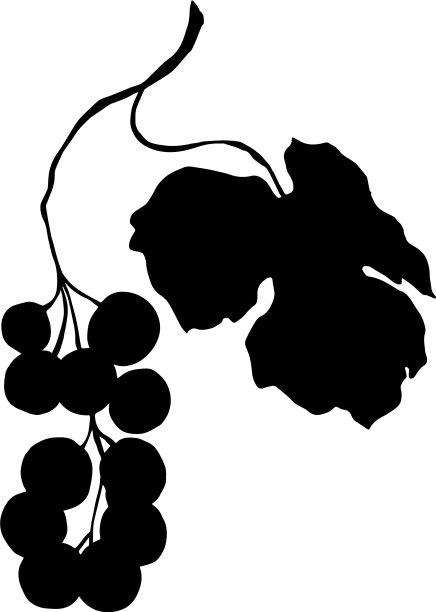 黑莓健康食品图片下载