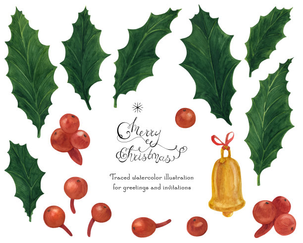 圣诞花卉水彩画与冬青图片下载