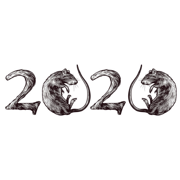 2020年新年鼠数2020年与图片下载