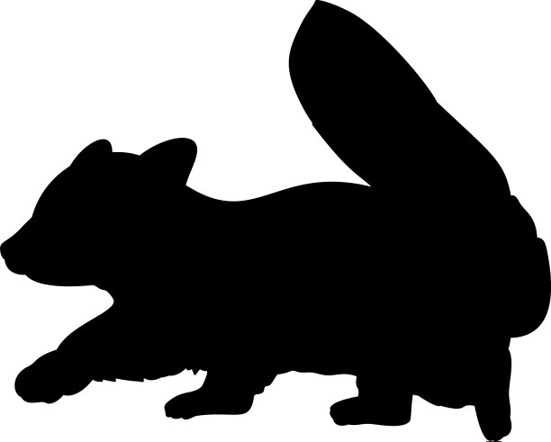 小红熊猫的剪影是可爱的小动物图片下载