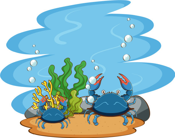 大海里螃蟹的场景图片下载