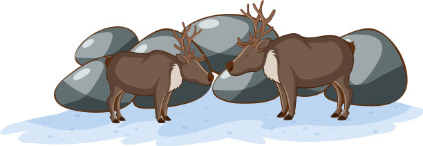 白色背景上的驯鹿图片下载