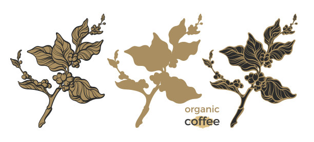 设置咖啡5图片下载