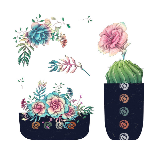 多肉仙人掌手绘在白色的背景上图片下载