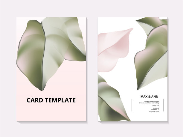 现代的绿色植物与树叶形成对比图片下载