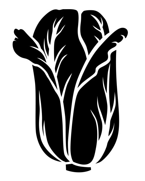 大白菜剪影图标图片下载
