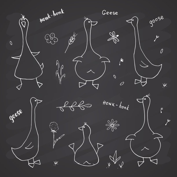 鹅涂鸦集可爱的鹅素描手绘图片下载