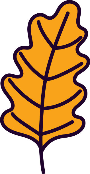 白色背景上的叶叶自然图片下载