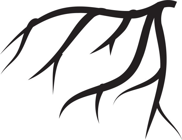 根图标设计模板矢量隔离图片下载