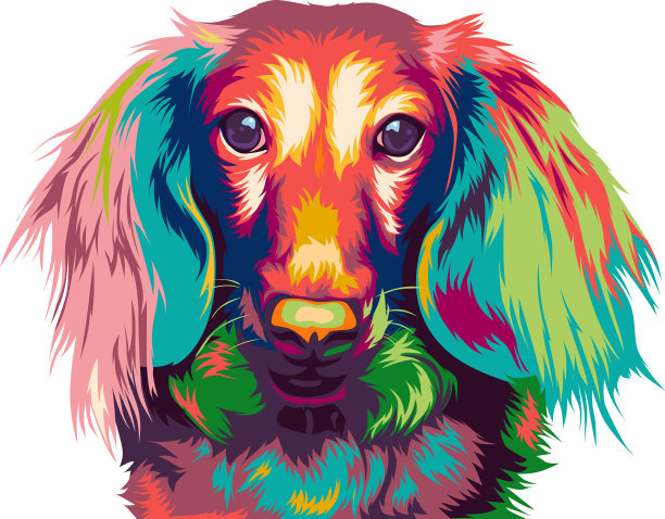 腊肠犬在五颜六色图片下载