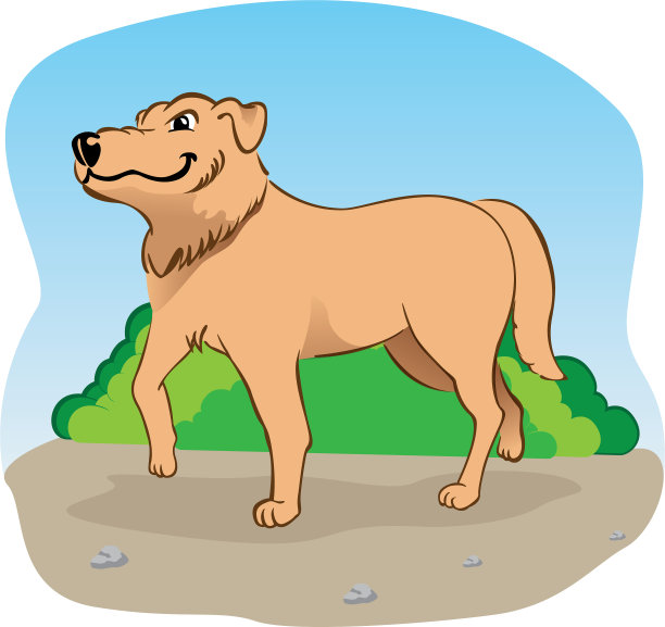 在公园散步的拉布拉多犬图片下载