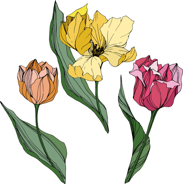郁金香刻墨艺术花卉植物图片下载