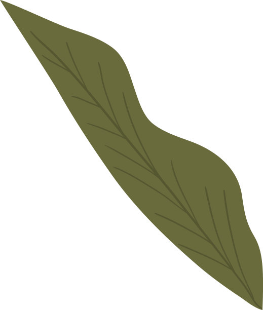 孤立叶图标设计图片下载