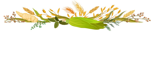 直接由不同的耳朵和一个图片下载