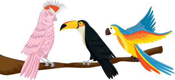 鹦鹉与巨嘴鸟在分支孤立图标图片下载