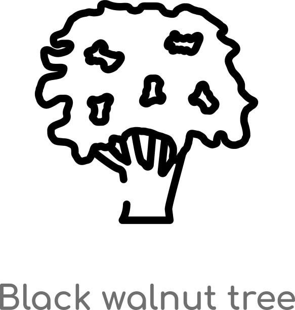 轮廓黑胡桃树图标孤立黑色图片下载