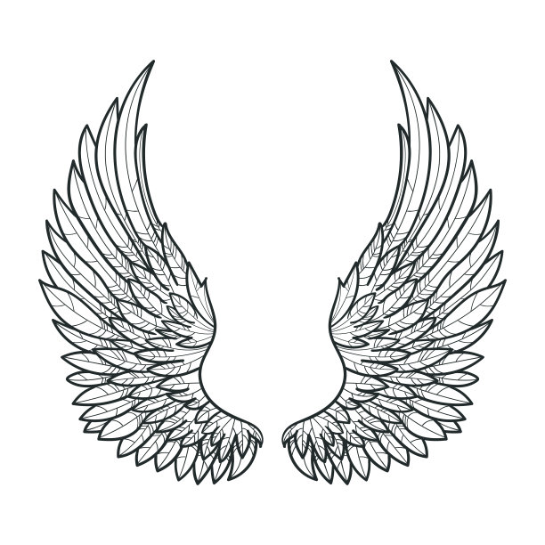 一对翅膀手绘黑白图片下载