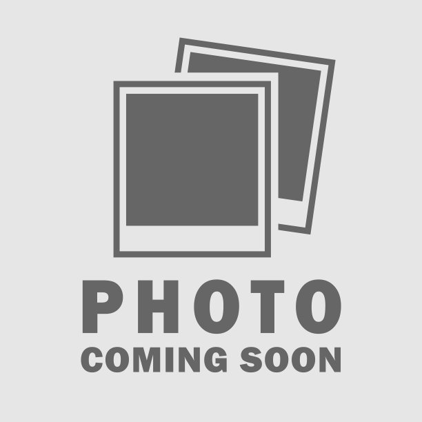 照片即将图标图像灰色图片图片下载