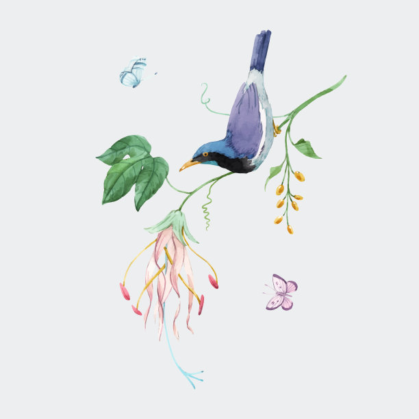 水彩画上小鸟天堂用的树枝图片下载