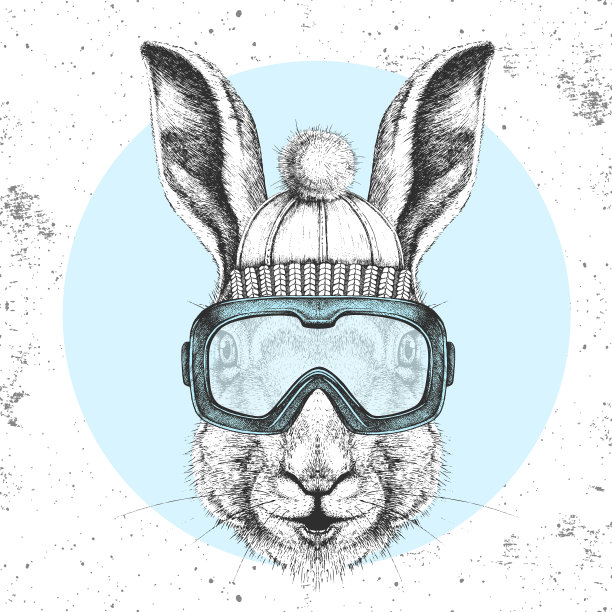 时髦的动物兔子在冬天的帽子图片下载