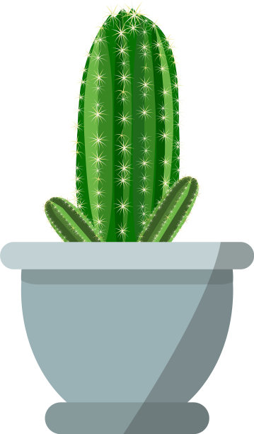 盆栽可爱的仙人掌孤立在白色图片下载