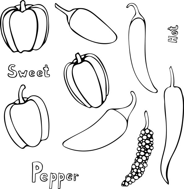 设定手绘辣椒轮廓图片下载