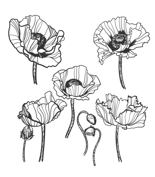 草图设计元素工厂设置图片下载