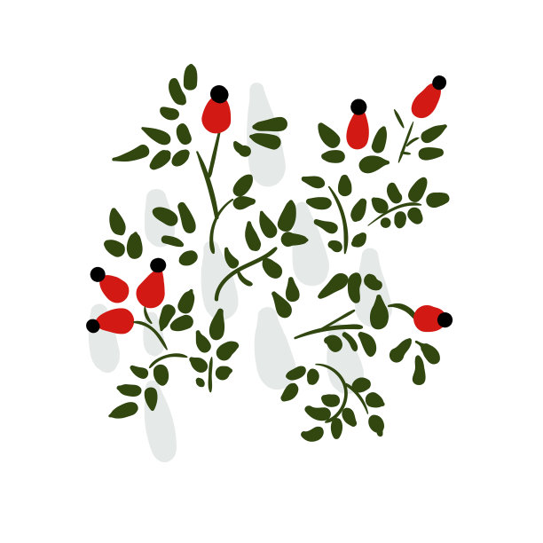 狗玫瑰花卡花卉设计元素图片下载