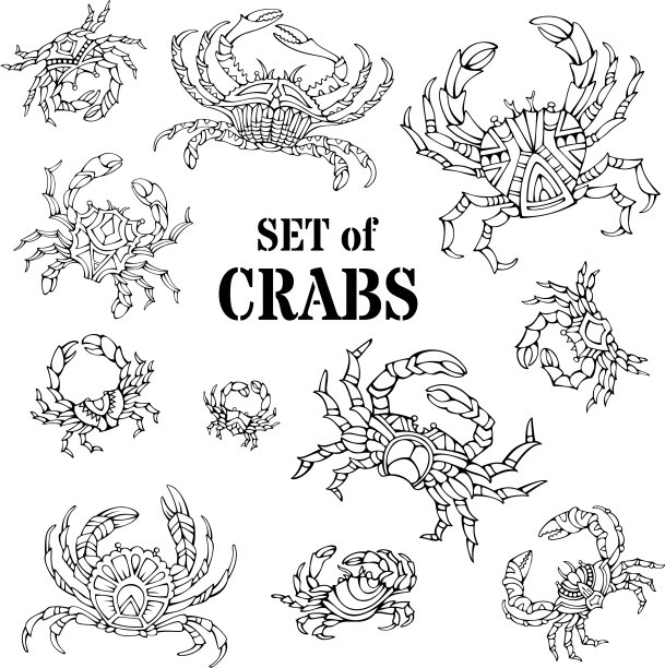 设置各种涂鸦蟹孤立在白色图片下载