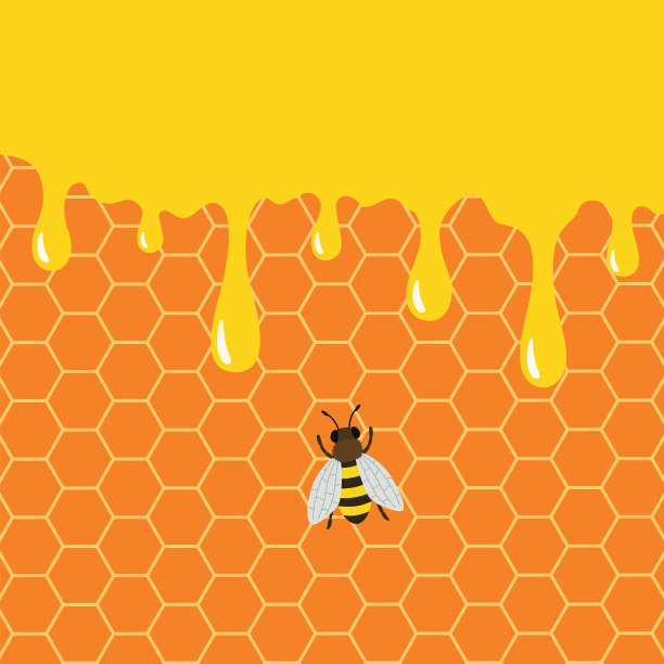 蜂蜜从蜜蜂身上滴落图片下载