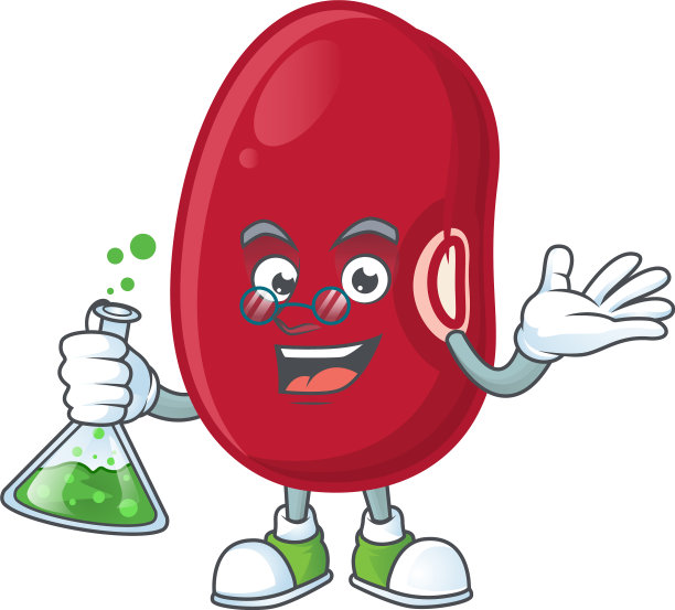 聪明的小豆卡通人物拿着玻璃图片下载