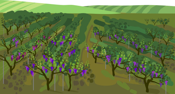 夏季景观与葡萄园在印象主义的方式图片下载