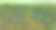 夏季景观与葡萄园在印象主义的方式图片下载