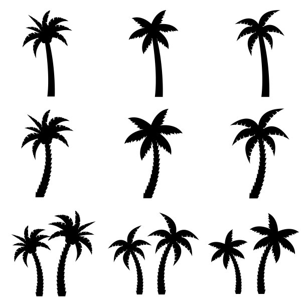 Palm设置图标，标志孤立在白色背景图片下载