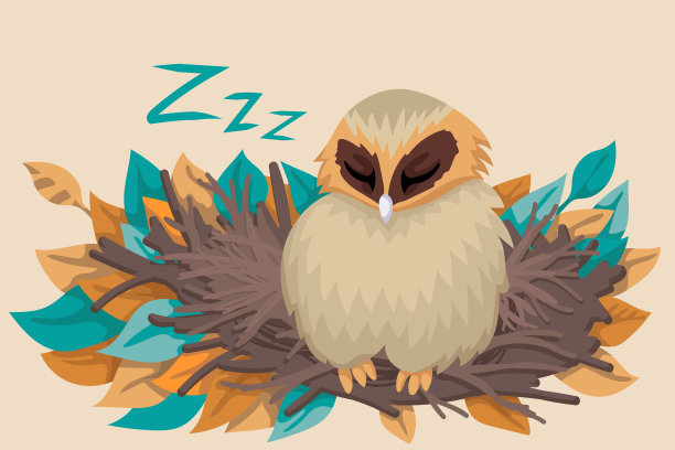 睡在巢里的猫头鹰在秋天的四周留下了树叶图片下载