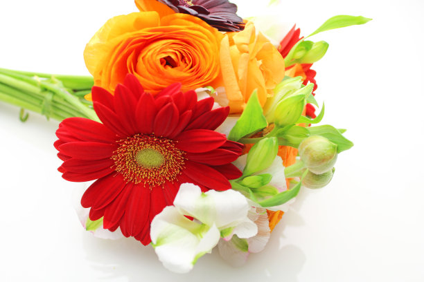 花束，如非洲菊或玫瑰。图片下载