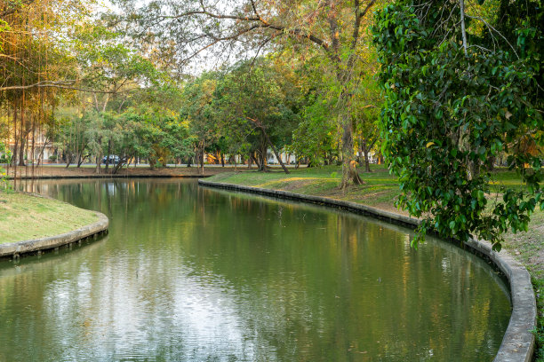 公园自然和沼泽用于娱乐图片下载