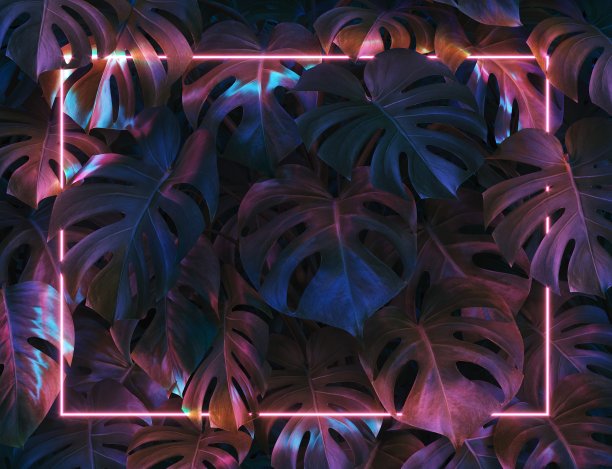 工厂与霓虹灯灯架图片下载