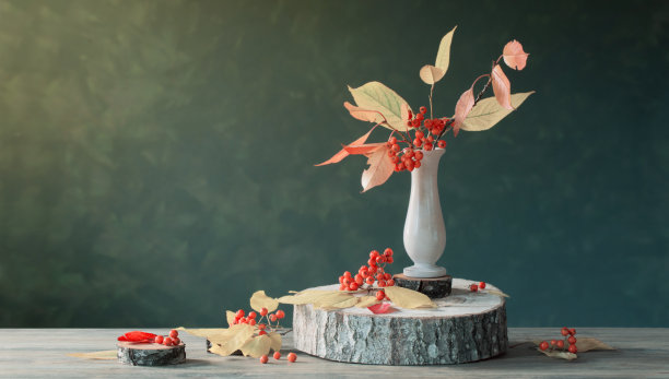 静物生活与花楸浆果在黑暗的背景图片下载