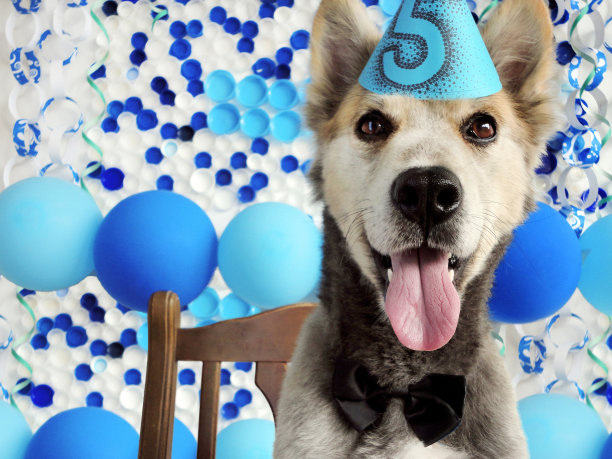 黑鬼5岁生日派对图片下载