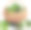 柳条篮子里装满了新鲜卷心菜图片下载