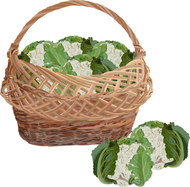 柳条篮子满新鲜花椰菜图片下载