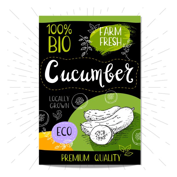 一套手绘标签食品香料图片下载