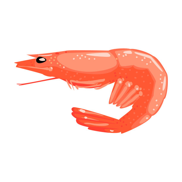 水煮虾富含蛋白质图片下载