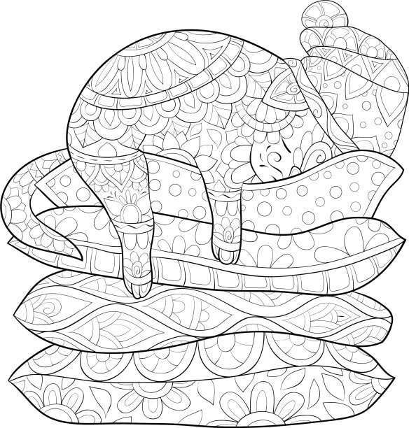 成人涂色书，一只可爱的猫图片下载