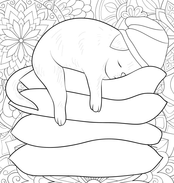 成人涂色书，一个可爱的小猫在睡觉图片下载