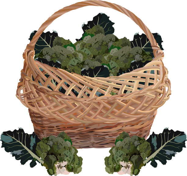 柳条篮子满新鲜花椰菜图片下载