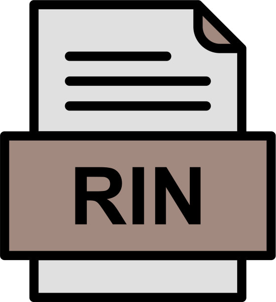 RIN文件图标图片下载